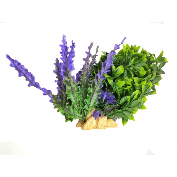 ΔΙΑΚΟΣΜΗΤΙΚΟ ΦΥΤΟ ΕΝΥΔΡΕΙΟΥ